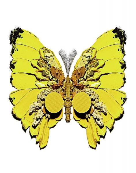 Photograph Robert Tardio Yellow Butterfly on One Eyeland
